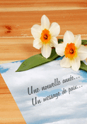 Des v&oelig;ux floraux pour une paix partag&eacute;e